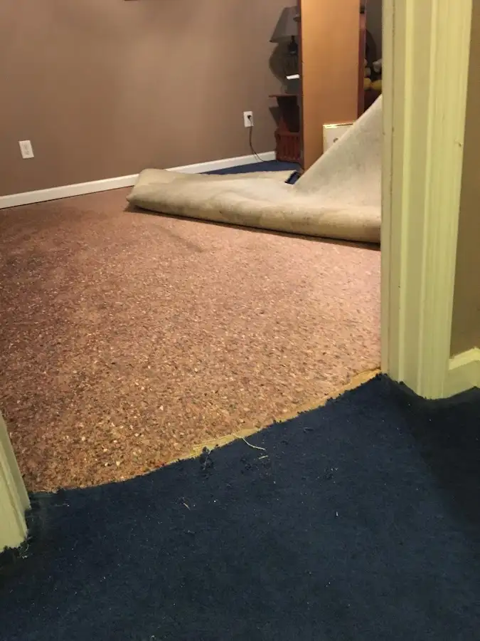 Carpet pad removal revealing water damage during Water Mitigation Services in Elkridge